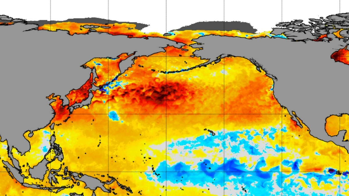 北太平洋海温异常强烈，2025/26年美加冬季极寒概率飙升