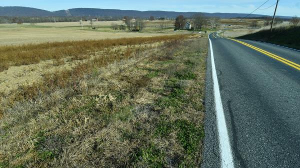 未来数据中心能源需求飙升，多州要求项目落地证明！